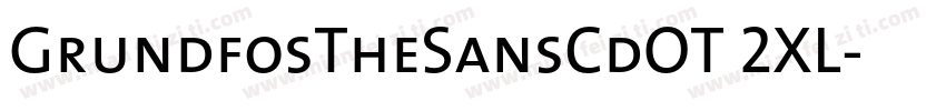 GrundfosTheSansCdOT 2XL字体转换